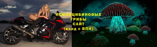 ПСИЛОЦИБИНОВЫЕ ГРИБЫ Нязепетровск