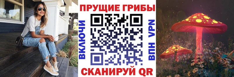 Псилоцибиновые грибы мухоморы  Санкт-Петербург 