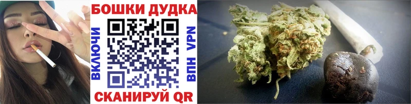 где купить   Санкт-Петербург  Марихуана OG Kush 